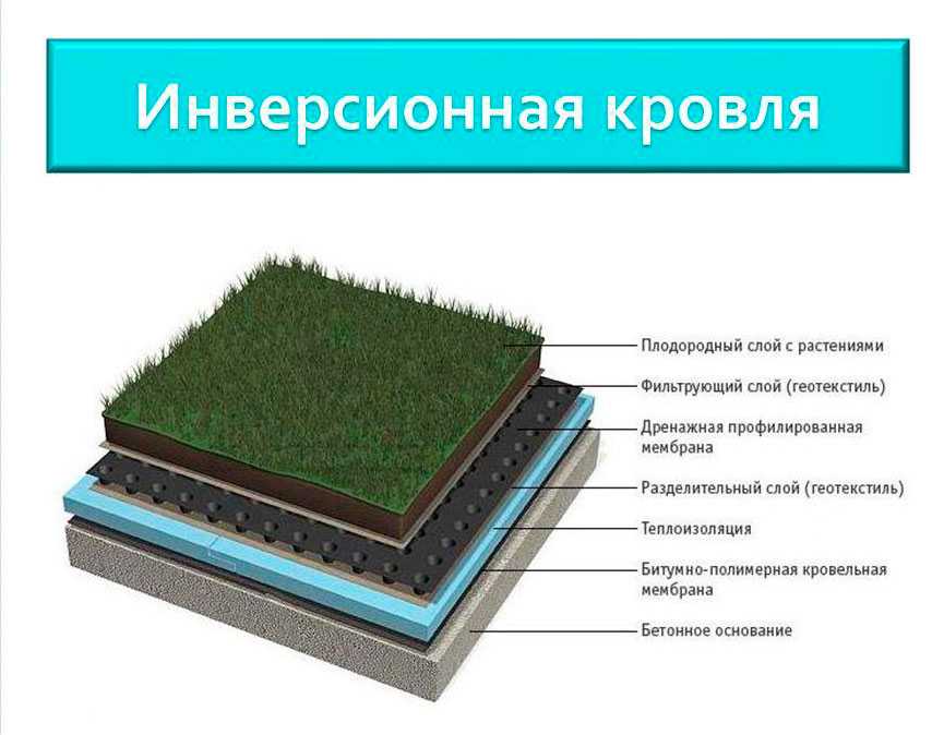 Зелёная крыша своими руками — технология и особенности (видео, фото)