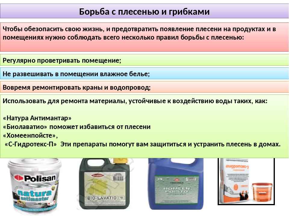 Как самостоятельно и с помощью профессионалов убрать черную плесень со стен?