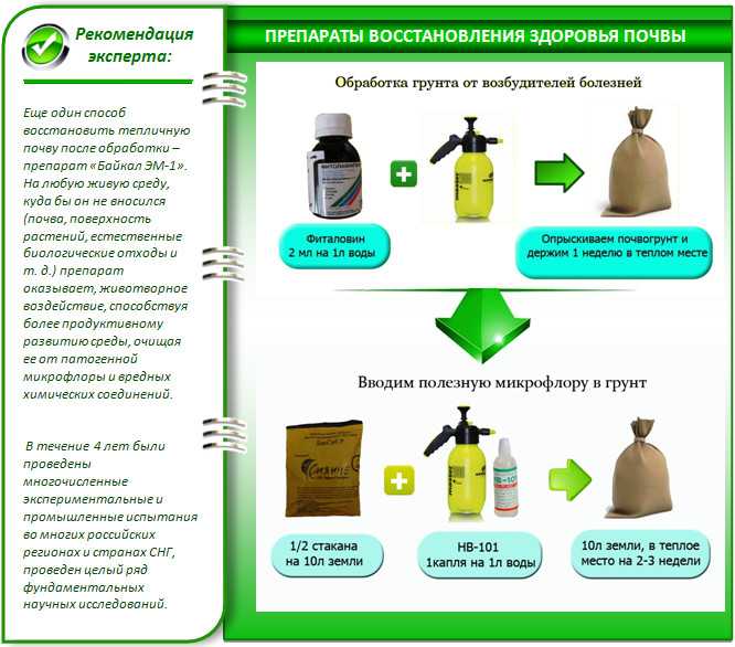 Как проводится обработка теплицы из поликарбоната весной и осенью?