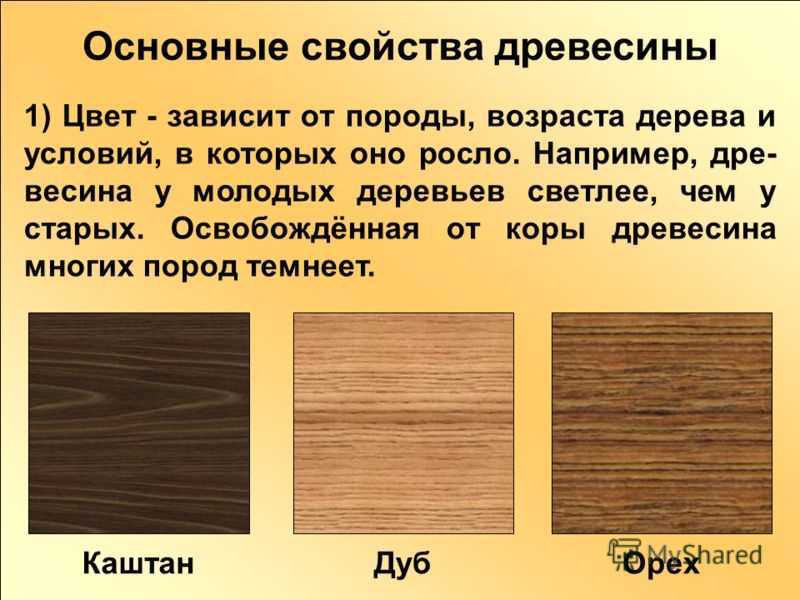 Породы деревьев.какие лучше использовать для столярных работ