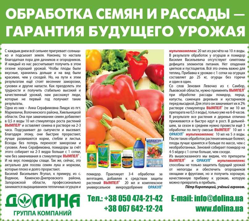 Борьба с травой и сорняками народными средствами