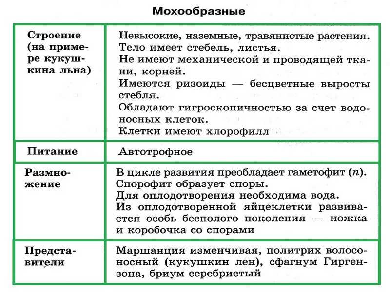 План конспект урока по биологии 7 класс отдел моховидные