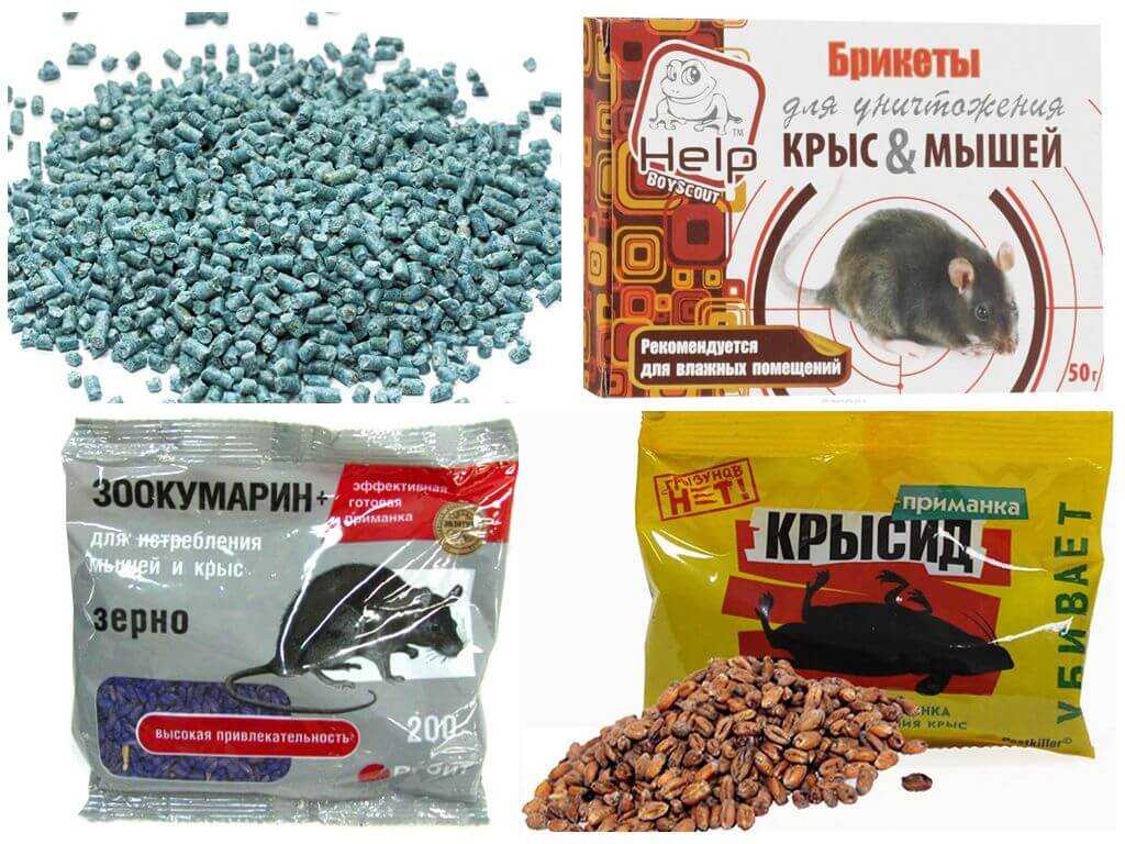 Как избавиться от мышей в квартире