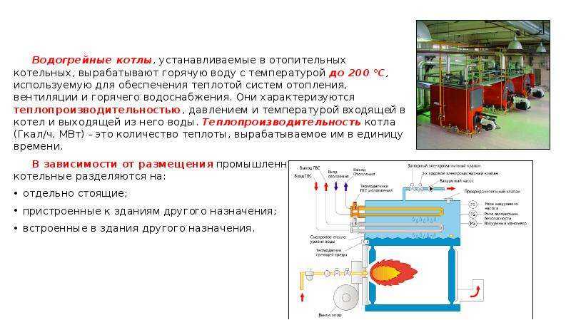 Котлы водогрейные промышленные: газовые, твердотопливные, универсальные, принцип работы и разновидности
