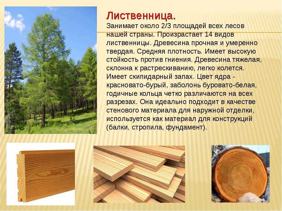 12 простых способов создания текстуры на дереве с помощью простых инструментов