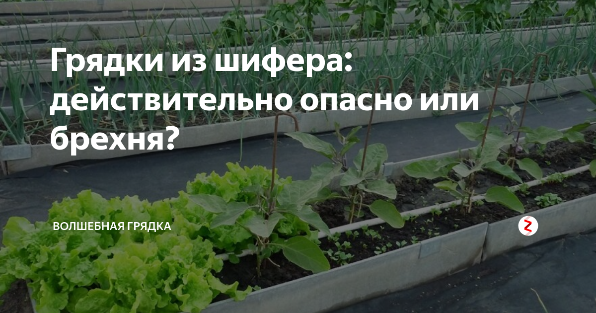 Асбест листовой вреден для здоровья: горит ли асбестовый лист