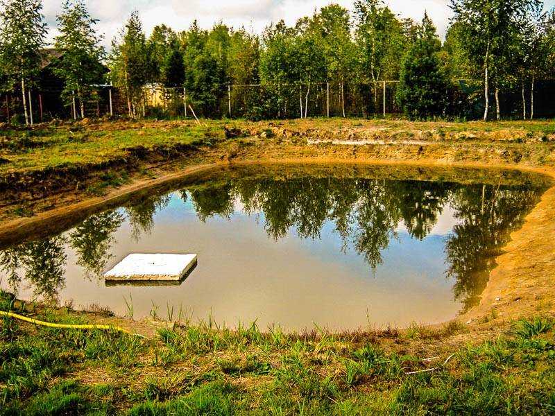 Пруд-копань. требования законодательства к выкопанным водоемам