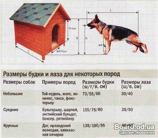 Будка для овчарки: выбор места для размещения Какие требования для будок для немецких или кавказских овчарок Из какого материала лучше всего строить будку Особенности постройки будки с тамбуром и вольером