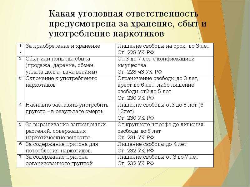 Опийный снотворный мак - агро эксперт