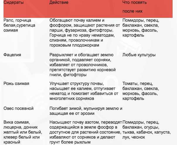 14 действенных способов борьбы с сорняками: от сидератов до народных методов