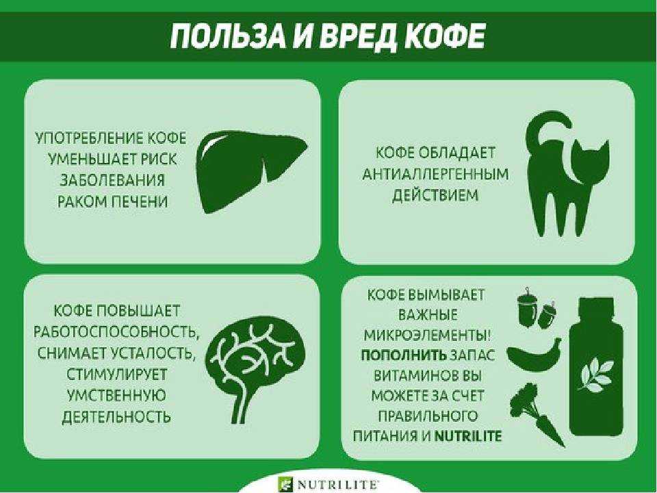 Вредны ли натяжные потолки для здоровья: экологичность, безопасность и запах после установки