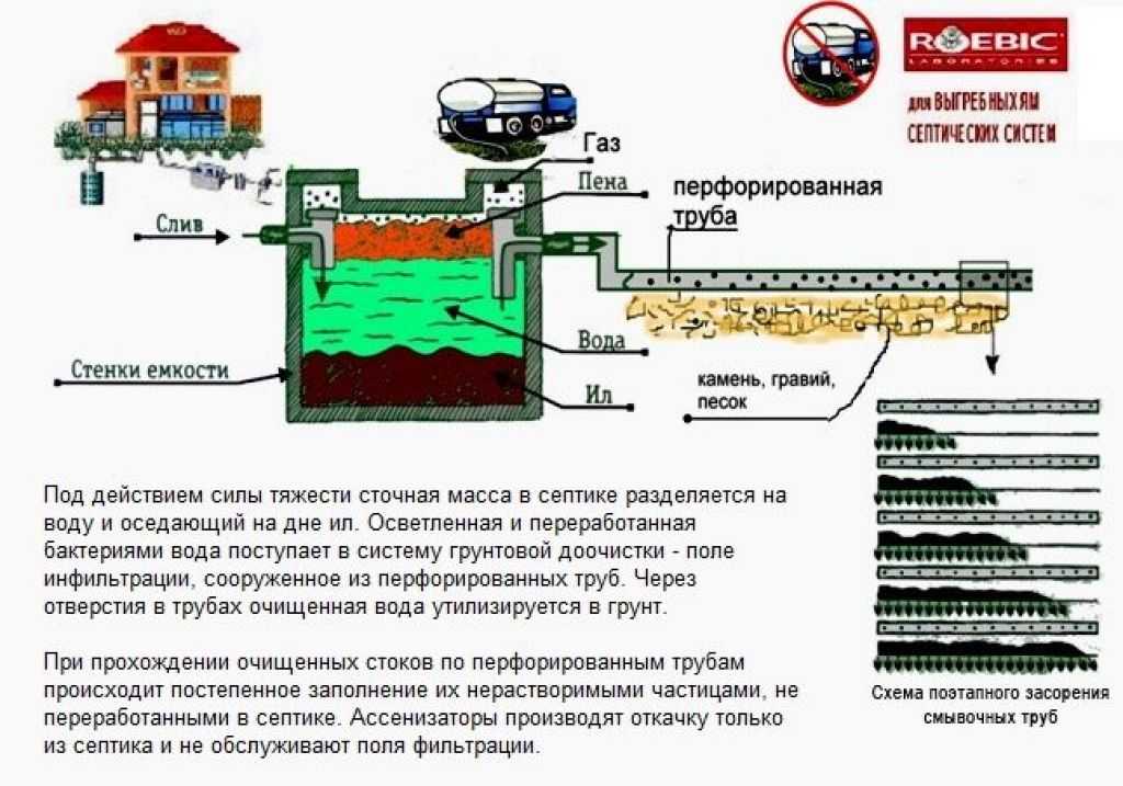 Бактерии для септиков и выгребных ям: правила обработки стоков
