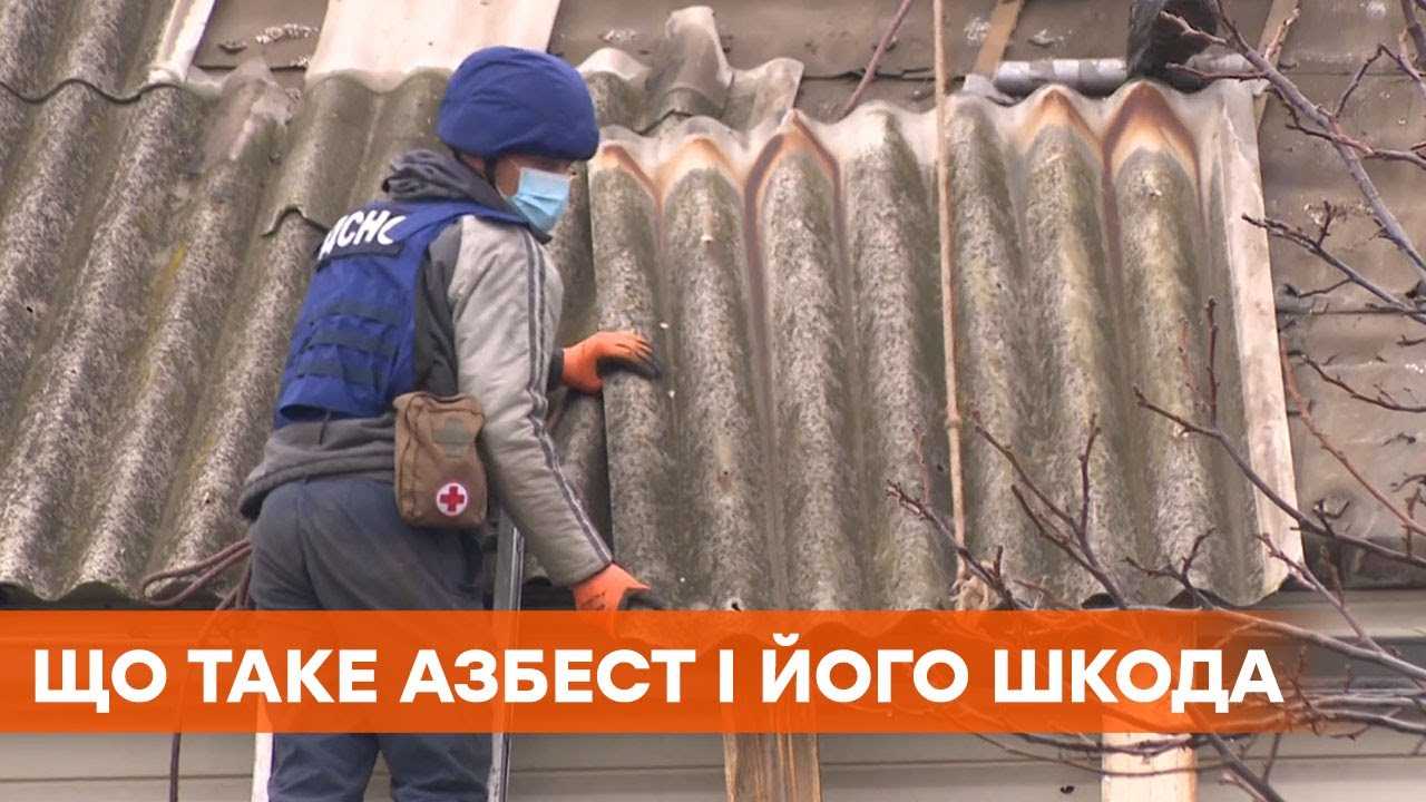 Вред шифера для здоровья: почему материалом нельзя оформлять грядки?