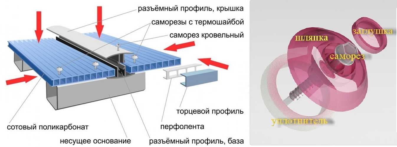 Термошайба для поликарбоната — установка шайбы для крепления сотового поликарбонатного листа