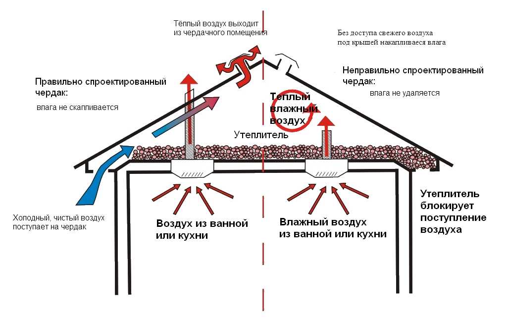 Вентиляция санузла в частном деревянном доме своими руками_ | iqelectro.ru