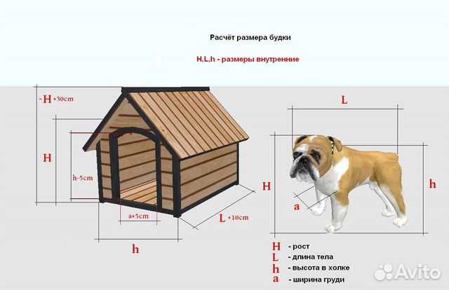 Будка для хаски: размеры и чертежи, а также фото как сделать своими руками для взрослой собаки девочки