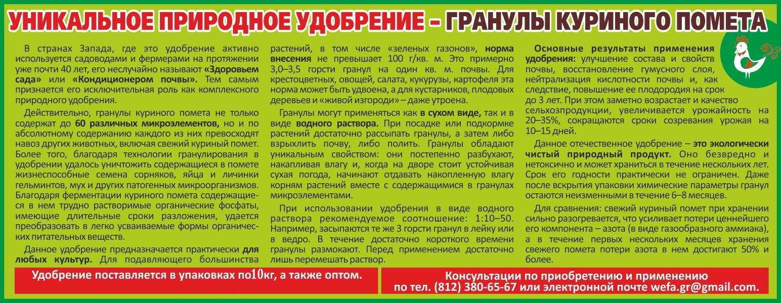 Настой навоза как удобрение: рецепты, преимущества и недостатки