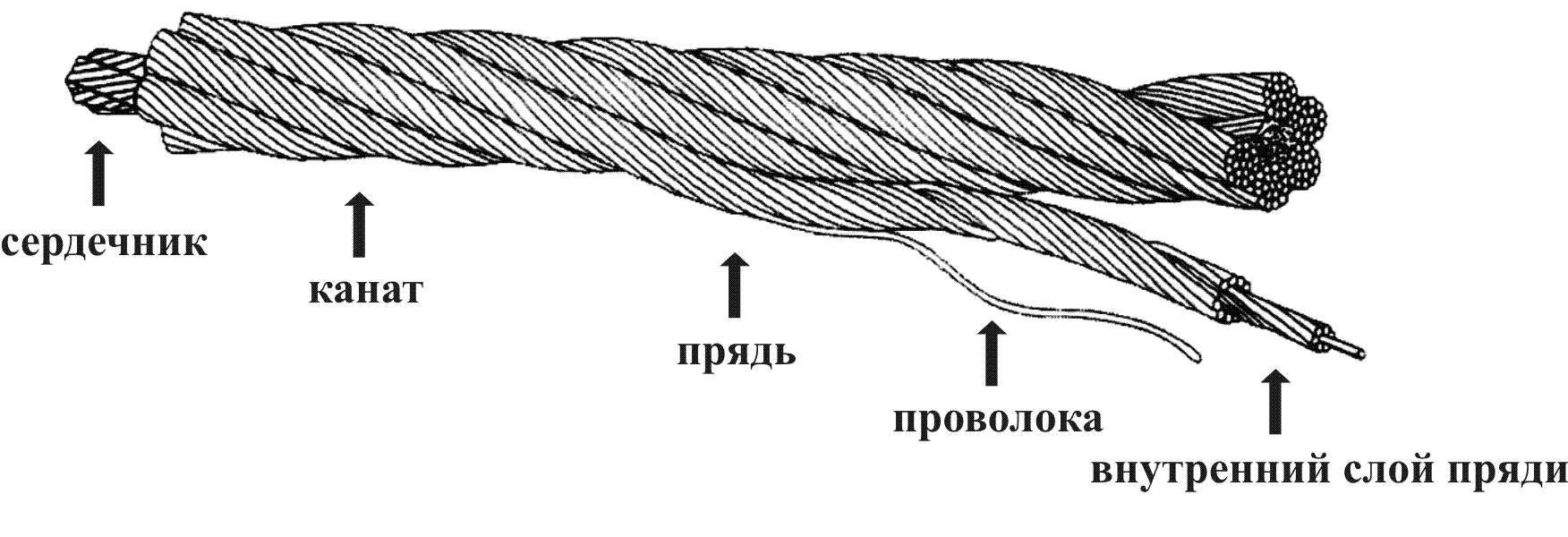 Виды веревки. азбука техники одинарной веревки