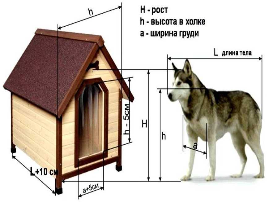 Как построить вольер для алабая своими руками: чертежи, особенности и фото