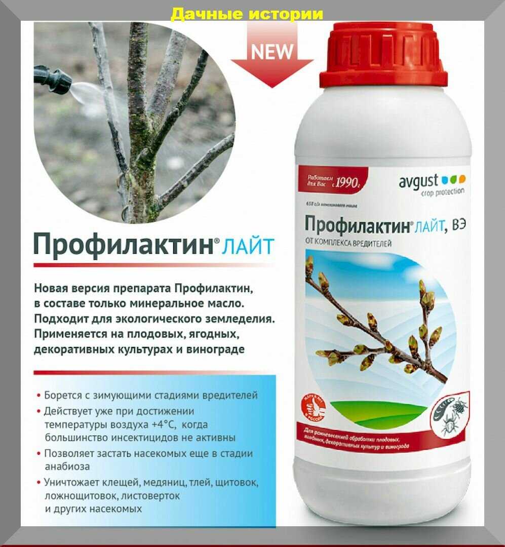 Трихопол для помидоров и огурцов от фитофторы: как правильно применять, разводить метронидазол