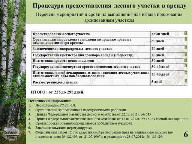 Бесплатный лес от государства: кому и сколько положено, как получить лес на строительство дома, как получить дрова