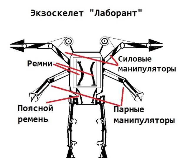 Экзоскелет: история, применение, эволюция