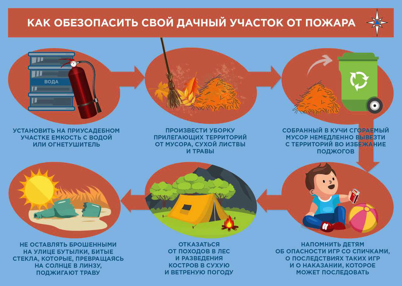 Как не допустить пожара в лесу. защитим лес от пожара