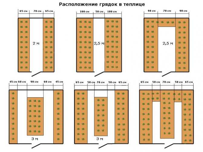 Уплотненные посадки в теплице: формируем удачное соседство овощей