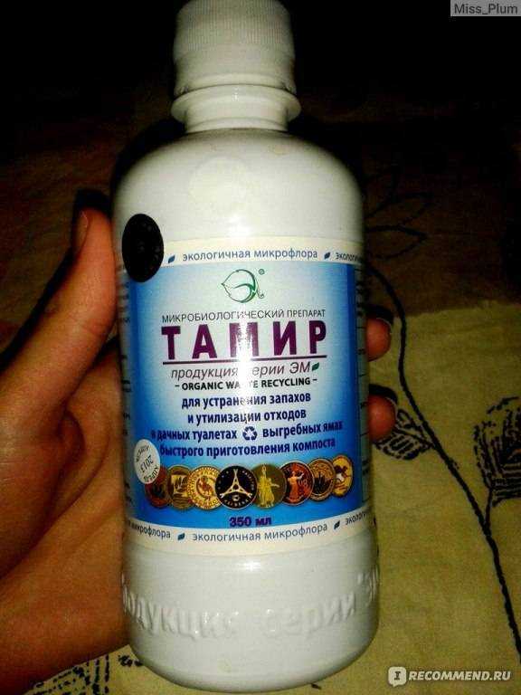 Обзор средств для дачного туалета