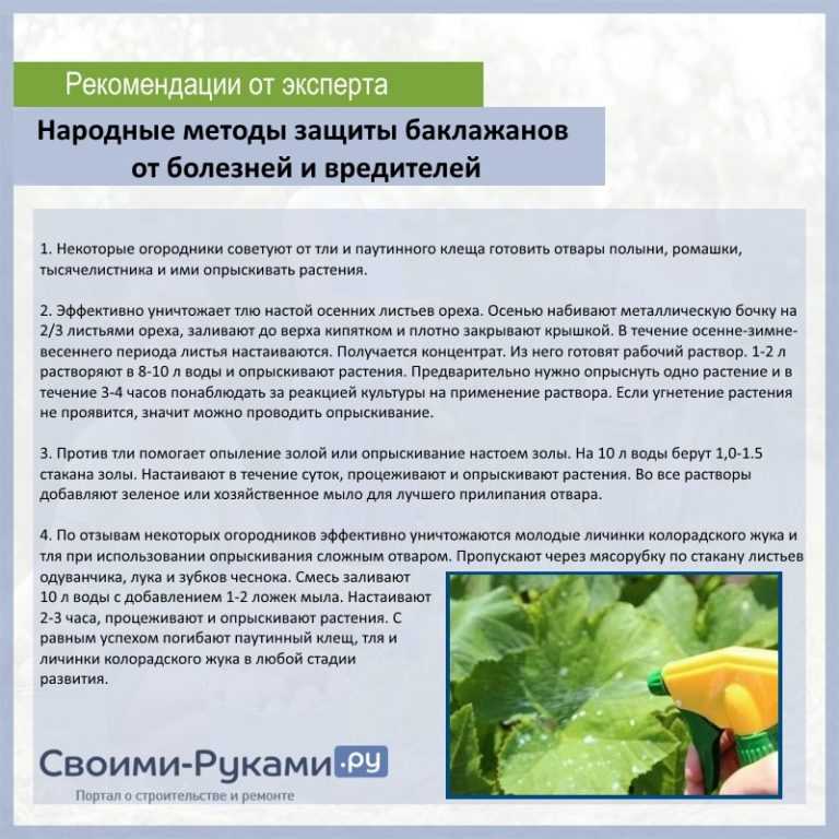 Как раз и навсегда избавиться от сорняков и травы