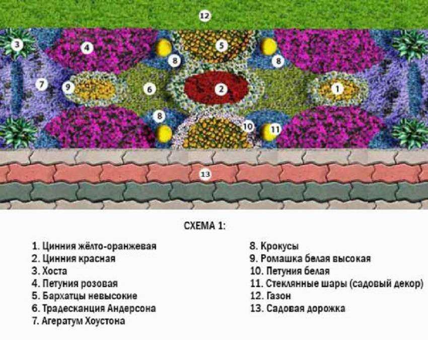 Красивые клумбы вдоль дорожек: выбор однолетников и многолетников