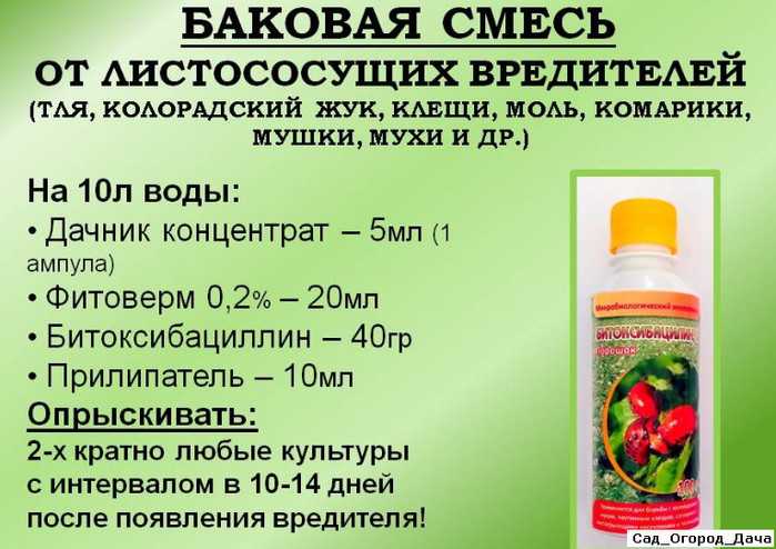 Хозяйственное мыло для защиты растений от болезней и вредителей