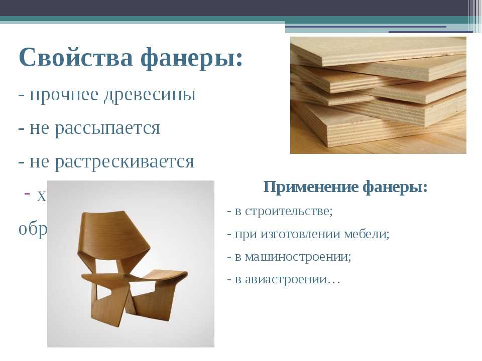 Тополь: описание дерева, продолжительность жизни, виды