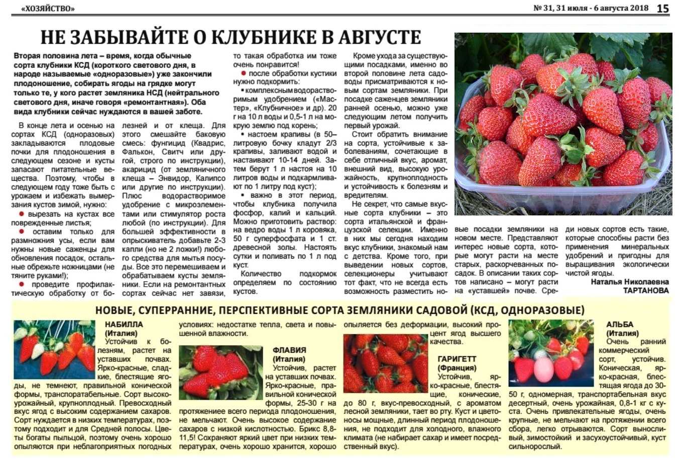 Выращивание клубники у себя дома пошаговая инструкция с фотографиями
